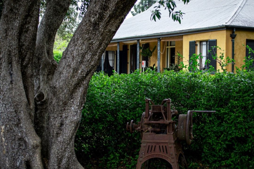 Heritage Of Harris Park Walk Discover At Parramatta